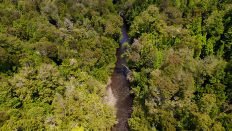 Dolly-in-aerial-view-of-a-myrtle-forest-with-a-reddish-river-in-tepuhueico-park,-Chiloé-Island,-Chile
