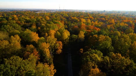 Drone-shot-of-a-Oak-Wood-Park-with-vibrant-colorful-trees-on-a-sunny-day-in-Kaunas-city-in-Lithuania-in-autumn,-fall-time