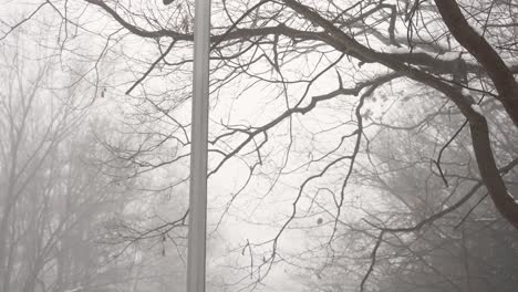 Spin-tilt-motion-showing-a-foggy-day-and-street-lamp