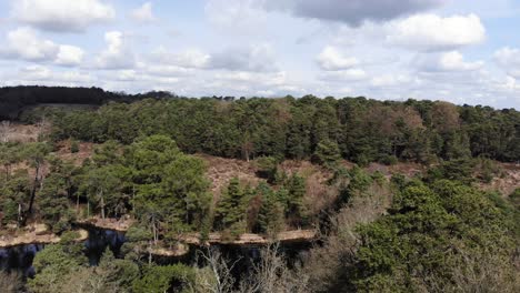 Aerial-View-Of-Forest-Woodland-Heathland-Beside-Bystock-Pools-In-Exmouth