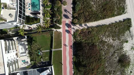 overhead-drone-video-of-a-walk-path-by-the-beach-on-a-bright-sunny-day-with-palm-trees-and-people-walking-enjoying-the-walk-path