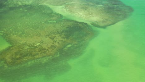 Drone-view-of-natural-pools-formed-between-coral-reefs-on-Rua-Porto-Beach-in-Alagoas,-Brazil