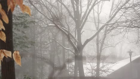 Focusing-on-the-misty-background-of-a-winter-day