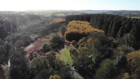 Aerial-View-Of-Woodland-Forest-Located-In-Blackdown-Hills-Area-of-Outstanding-Natural-Beauty-south-of-Otterford-in-Somerset