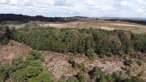 Aerial-Flying-Over-Heathland-At-Woodbury-Common