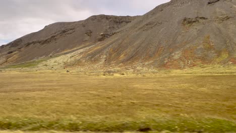 Vast-Icelandic-landscape-from-a-moving-car,-showcasing-the-rugged-terrain-and-autumn-colors