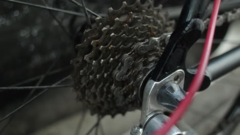 Cleaning-liquid-sprayed-onto-bicycle-rear-cassette-by-bike-mechanic
