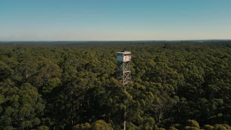 drone-shot-tilting-down-at-the-fire-lookout-at-the-top-of-the-Diamond-Tree,-a-giant-karri-tree-near-Pemberton-in-Western-Australia