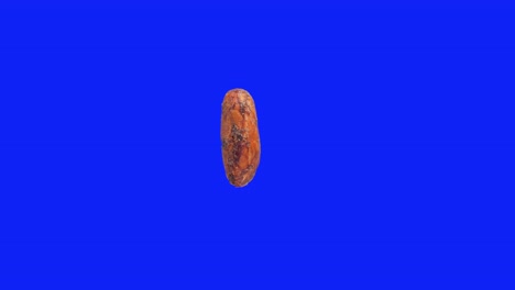 Rotierende-Kakaobohne,-Isoliert-Auf-Bearbeitbarem-Blauem-Hintergrund,-Stereoskopisches-3D