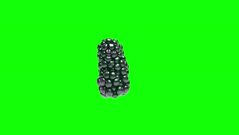 Rotierende-Brombeere-Isoliert-Auf-Bearbeitbarem-Grünen-Bildschirmhintergrund,-Stereoskopische-Visualisierung