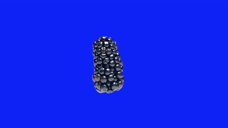 Rotierende-Brombeere-Isoliert-Auf-Bearbeitbarem-Blauen-Hintergrund,-Stereoskopische-Visualisierung