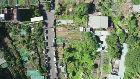Urban-farming-plots-amidst-buildings-and-parked-cars-in-Taiwan,-bright-day,-aerial-view