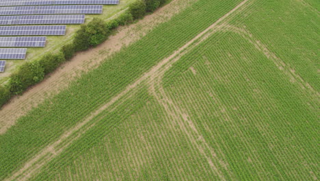 Aerial-topdown-solar-panel-and-crop-field-comparison-shot
