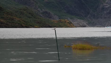 Mendenhall-Lake-Im-Sommer,-Alaska