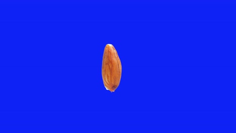 Rotating-almond-isolated-on-editable-blue-screen-background-Stereoscopic-visualisation