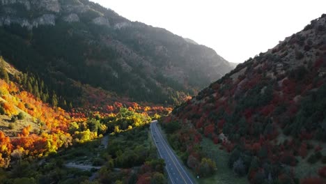 Fall-leaves-in-Logan-Canyon,-in-Northern-Utah