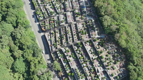 A-traditional-Taiwanese-cemetery-nestled-between-lush-greenery-and-a-road,-Aerial