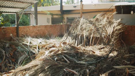 Trockene-Palmblätter-Müllhaufen-Phucoc-Vietnam-Fukok-9-Von-55