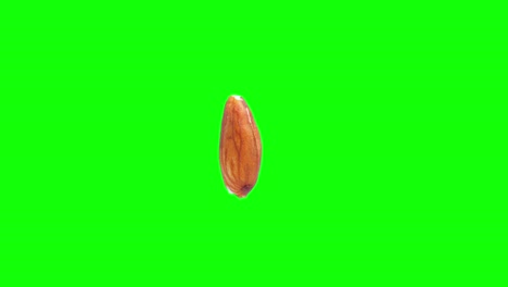 Rotierende-Mandel-Einzeln-Auf-Bearbeitbarem-Grünem-Hintergrund,-Stereoskopische-Visualisierung