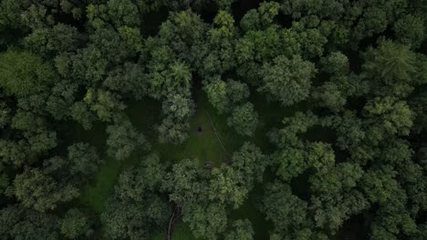 Drone-recording-of-treetops,-where-the-drone-slowly-dives-between-the-trees-right-down-to-the-ground