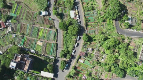 Urban-farms-in-Taiwan,-nestled-among-roads-with-scattered-vehicles,-lush-greenery,-aerial-view