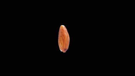 Rotating-almond-isolated-on-editable-black-background-Stereoscopic-3D-visualisation