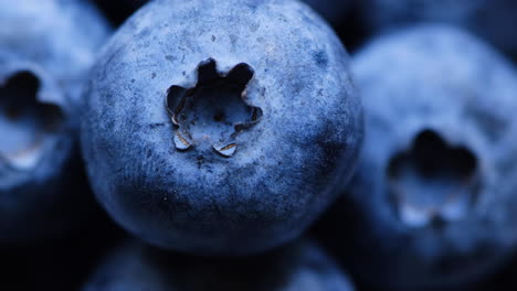 Close-up-of-fresh-blueberries