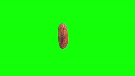 Rotierende-Kakaobohne-Isoliert-Auf-Bearbeitbarem-Grünem-Hintergrund,-Stereoskopische-Visualisierung