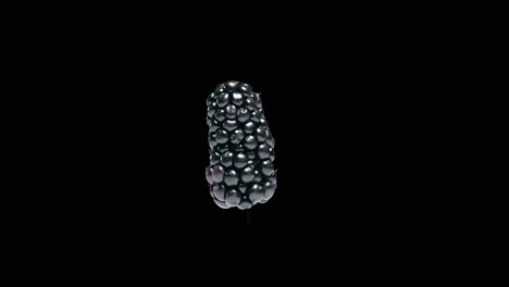 Rotating-blackberry-isolated-on-editable-black-background-Stereoscopic-3D-visualisation