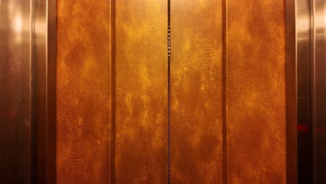 riding-an-elevator-and-opening-the-door-to-reveal-a-floor-with-pink-walls