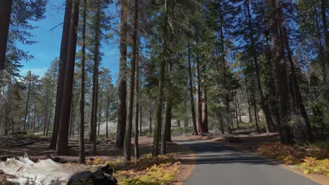 Autofahrt-Durch-Den-Sequoia-Nationalpark-Mit-Riesigen-Bäumen-Im-Kalifornischen-Redwood-Wald