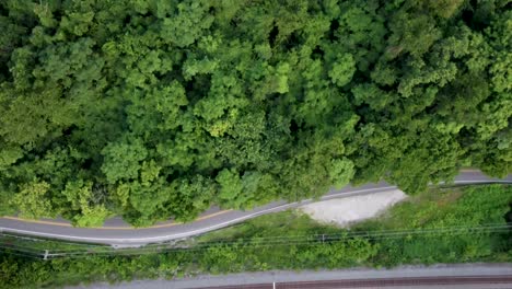 Drone-footage-of-a-road-in-a-forest-with-a-car-driving-along-the-road