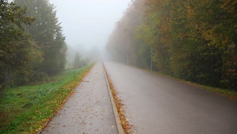 Aufnahme-Einer-Asphaltstraße,-Die-Durch-Einen-Park-Mit-Lebendigen-Und-Farbenfrohen-Bäumen-Führt,-Mit-Dichtem-Nebel-Im-Hintergrund-Bei-Sonnenaufgang-Im-Herbst