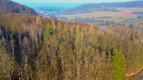 Drone-Footage-of-Mixed-Autumn-Forest-and-Rural-Village