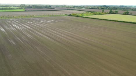 Drone-footage-flying-over-a-wet,-sowed-farmer's-field-with-crops-just-starting-to-grow