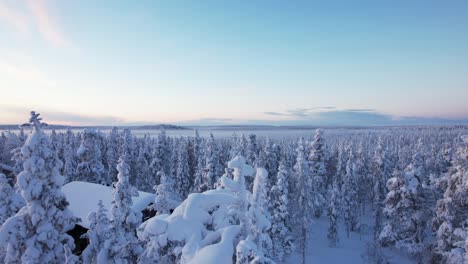 Drone-Slowly-Descends-In-Snowy-Winter-Wonderland-Forest-Maze-In-Lapland,-Finland,-Arctic-Circle