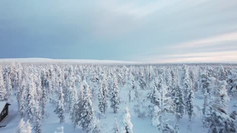 Drohne-Fliegt-Schnell-über-Verschneite-Winterwunderland-Waldlandschaft-In-Lappland,-Finnland,-Polarkreis
