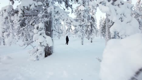 Drohne-Fliegt-Dicht-Zwischen-Bäumen-Auf-Ein-Mädchen-Zu,-Das-Im-Winterwunderland-In-Lappland,-Finnland,-Am-Polarkreis-Spaziert