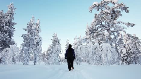 Chica-Caminando-Por-El-Sendero-Del-Bosque-Nevado-En-Invierno,-Filmada-Con-ángulo-Bajo-En-Laponia,-Finlandia,-Círculo-ártico