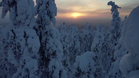 Aerial-Drone-Shot-At-Sunset-Of-Snowy-Landscape-in-Lapland,-Finland,-Arctic-Circle