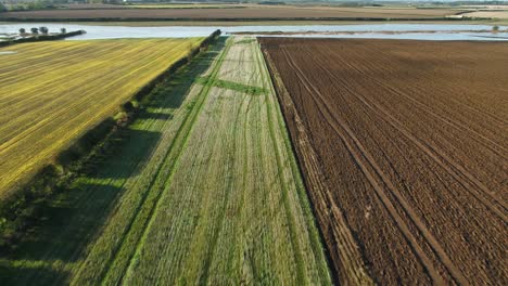 Luftaufnahmen-Von-Drohnen,-Die-An-Einem-Schönen,-Sonnigen-Herbstmorgen-über-Die-Abgeernteten-Felder,-Hecken-Und-Ein-überflutetes-Feld-Von-Bunten-Bauern-In-North-Yorkshire,-Großbritannien,-Fliegen