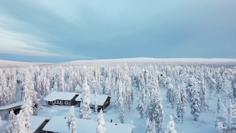 Toma-Envolvente-De-Drones-Del-Paisaje-Forestal-Invernal-En-Laponia,-Finlandia,-Círculo-Polar-ártico.