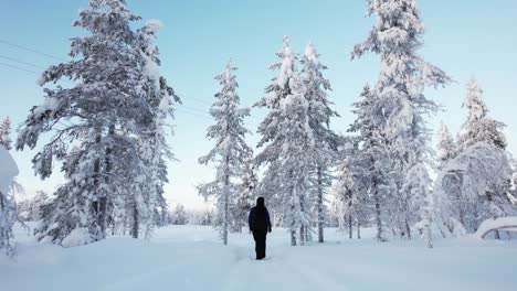 Girl-Takes-a-Stroll-On-A-Snowy-Path-in-Lapland,-Finland,-Arctic-Circle