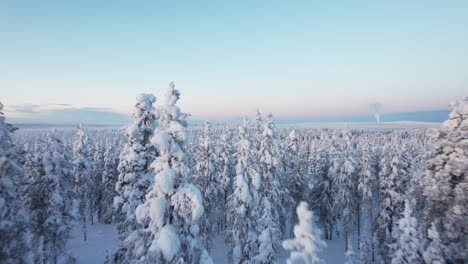 Drone-Flys-Closely-Through-Snowy-Winter-Wonderland-Forest-Landscape-In-Lapland,-Finland,-Arctic-Circle