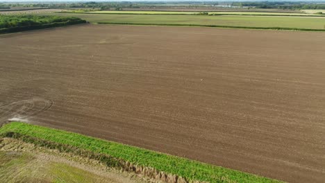 Aerial-drone-footage-flying-over-a-sowed,-cultivated-farmer's-field-in-North-Yorkshire,-UK-with-birds-eating-the-seeds-and-flying-away