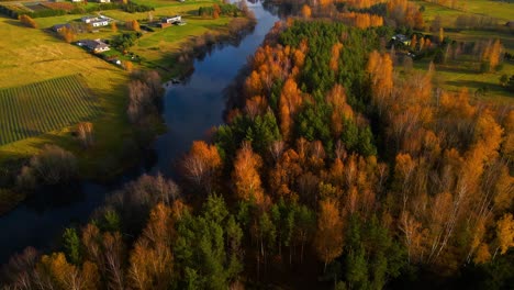 Drone-shot-of-dense,-vibrant-and-colorful-autumn-woods-in-a-small-rural-village-on-the-shore-of-Lesse-river,-Belgium