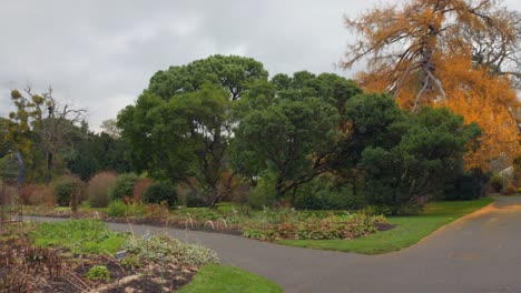 Cinematic-shot-of-Botanic-gardens-walk-during-cloudy-day-in-Dublin,-Ireland