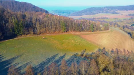 Drohnenpanorama-Von-Grünen-Feldern,-Die-An-Dichten-Wald-Grenzen