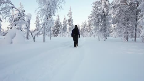 Drone-Flys-Low,-Following-A-Girl-Walking-In-Winter-Wonderland-In-Lapland,-Finland,-Arctic-Circle