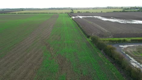 Aerial-footage-flying-over-a-recently-sowed-farmer's-field-with-crops-starting-to-grow-and-next-to-a-ploughed-field-in-the-UK-Autumn